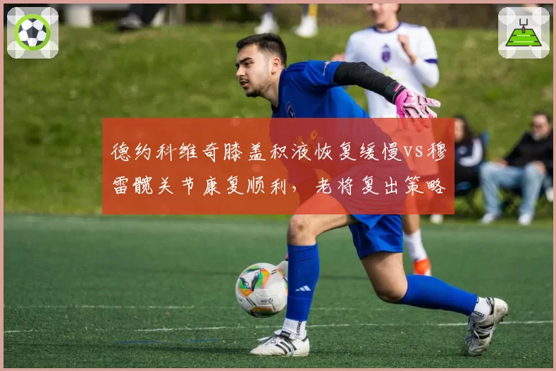 德约科维奇膝盖积液恢复缓慢vs穆雷髋关节康复顺利,老将复出策略分化明显