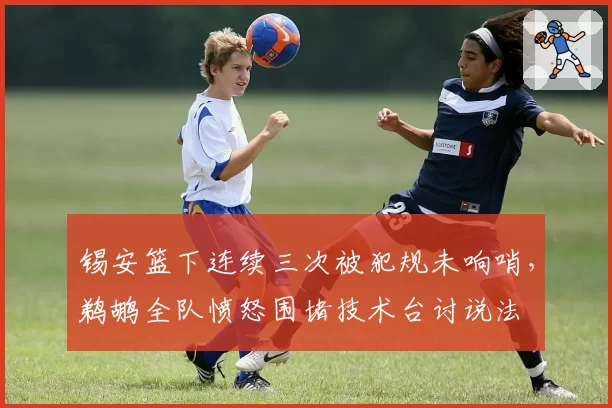 锡安篮下连续三次被犯规未响哨,鹈鹕全队愤怒围堵技术台讨说法