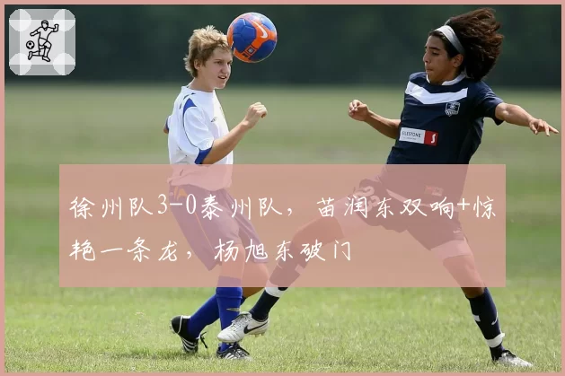 徐州队3-0泰州队，苗润东双响+惊艳一条龙，杨旭东破门