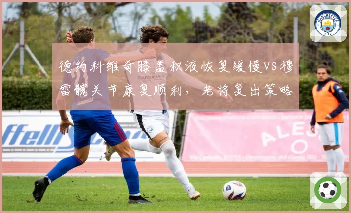 德约科维奇膝盖积液恢复缓慢vs穆雷髋关节康复顺利,老将复出策略分化明显