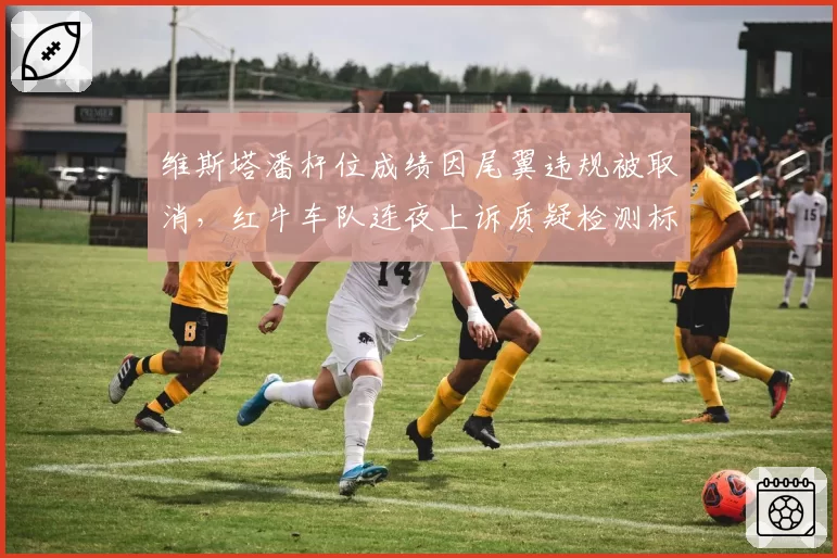 维斯塔潘杆位成绩因尾翼违规被取消，红牛车队连夜上诉质疑检测标准